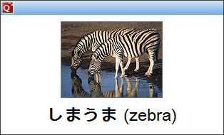 StudyMinder Flash Card with image and foreign language characters